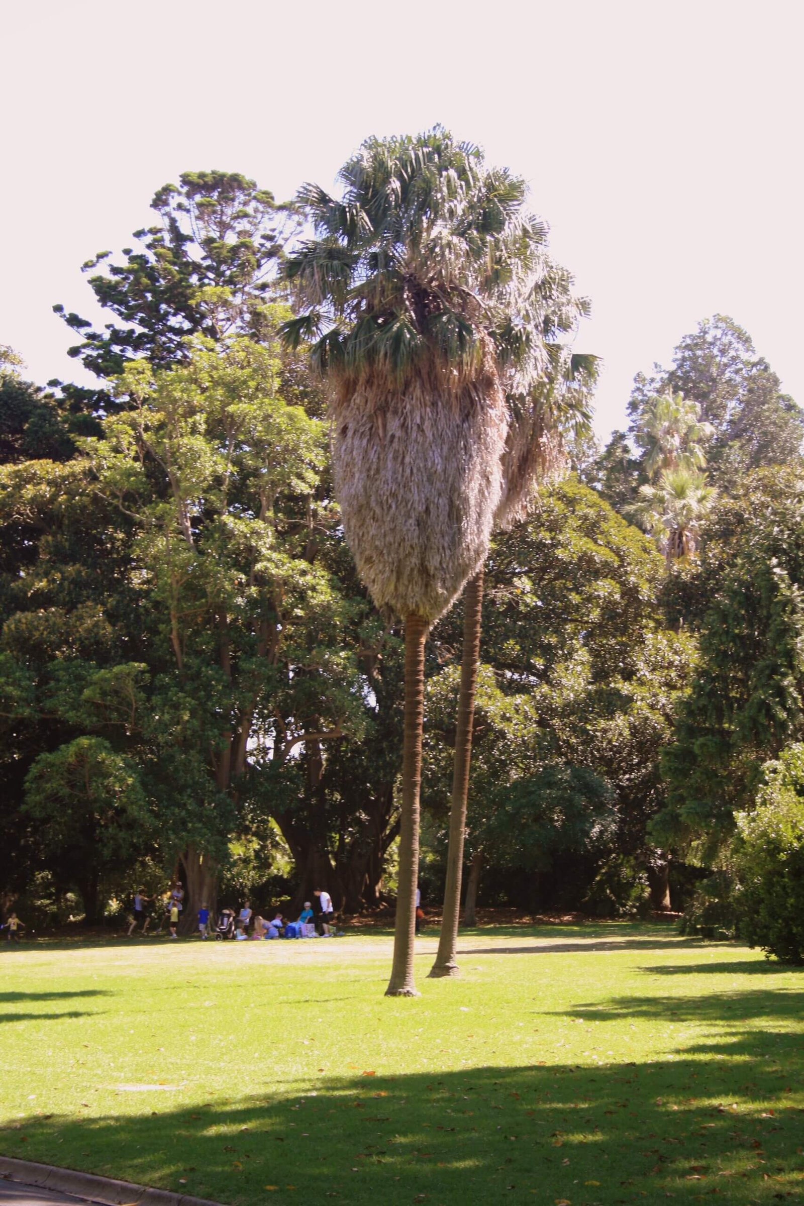Royal Botanic Garden Melbourne