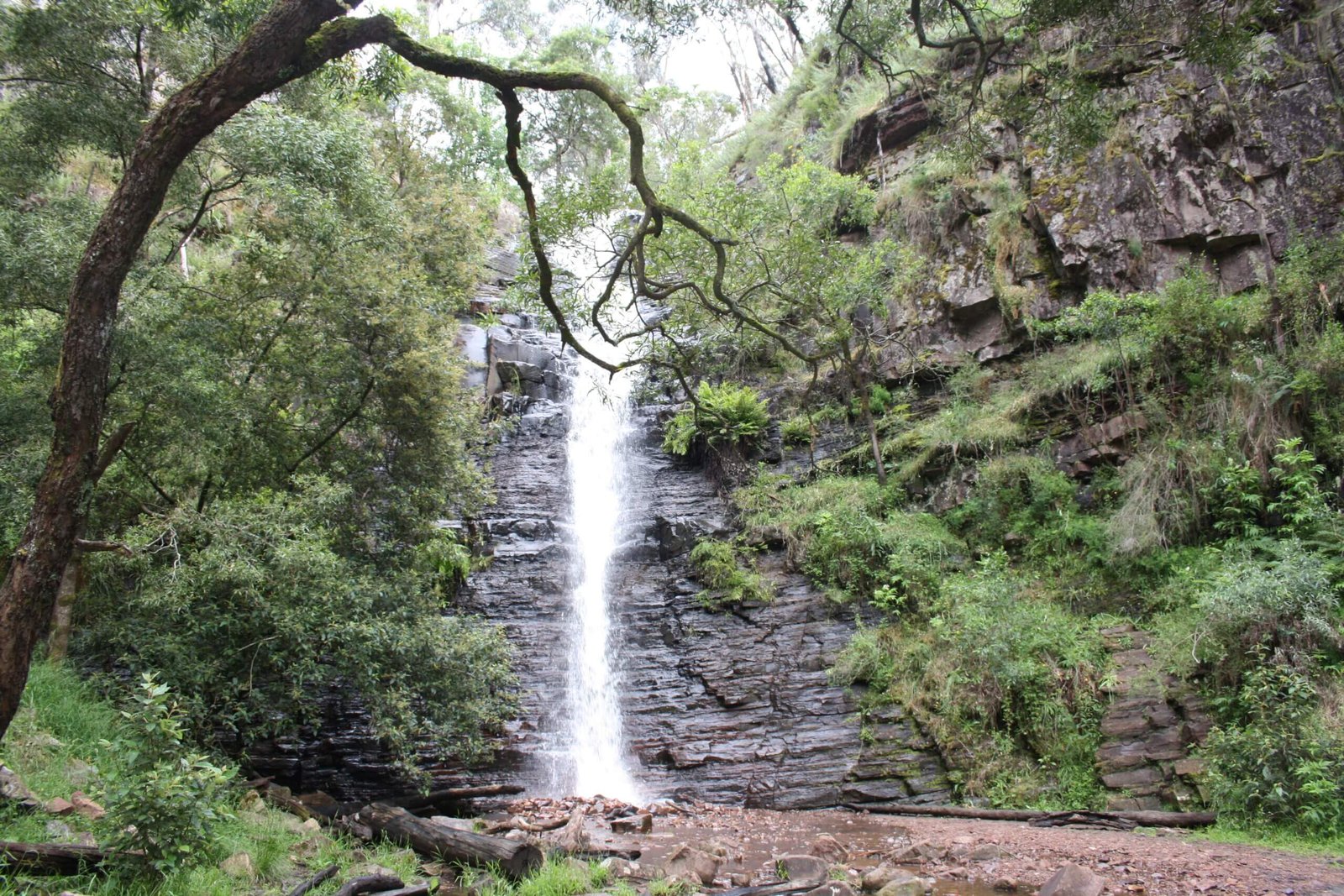 Silberband Falls in den Grampians, Victoria