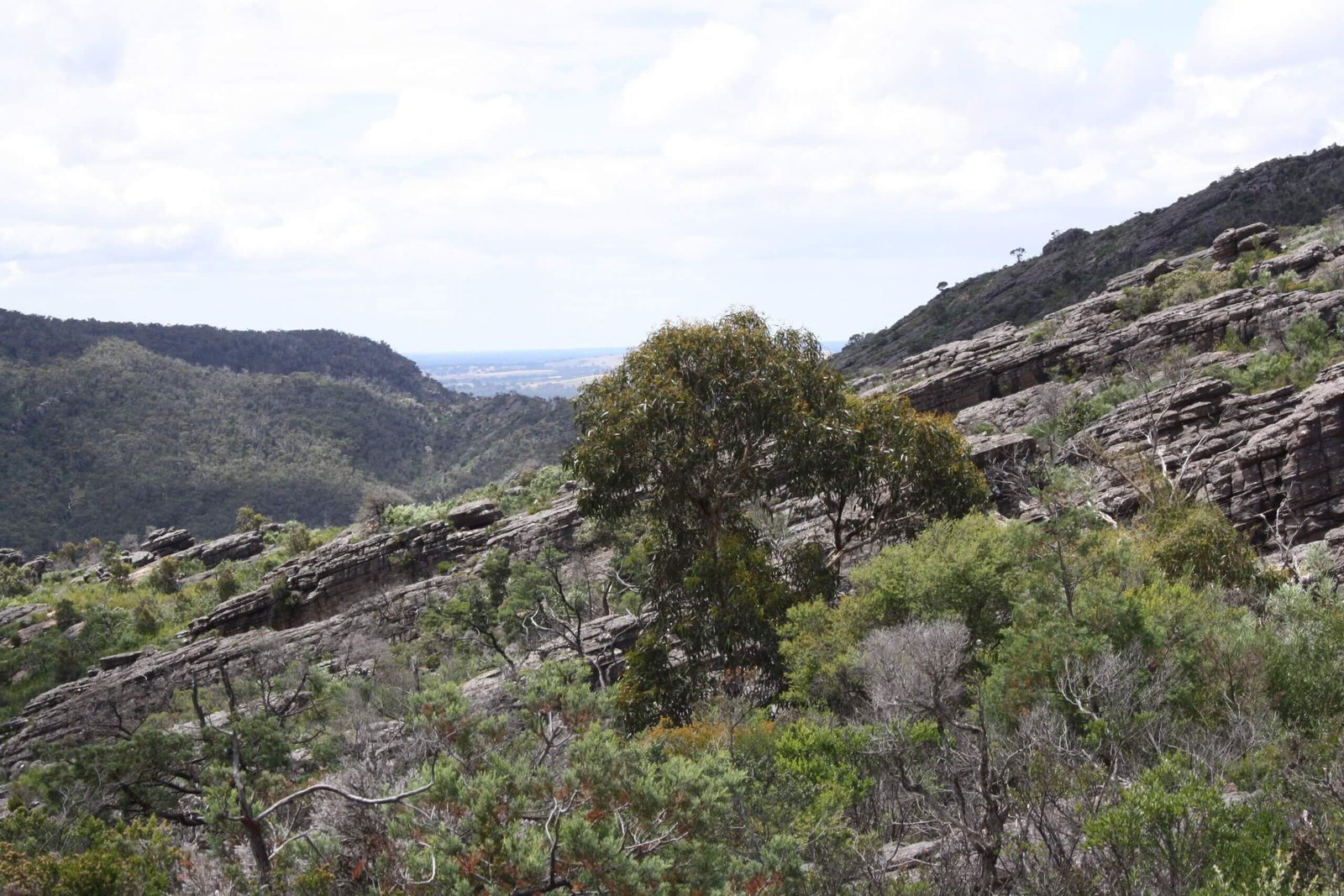 Abstieg von den Pinnacles zum Wonderland Carpark