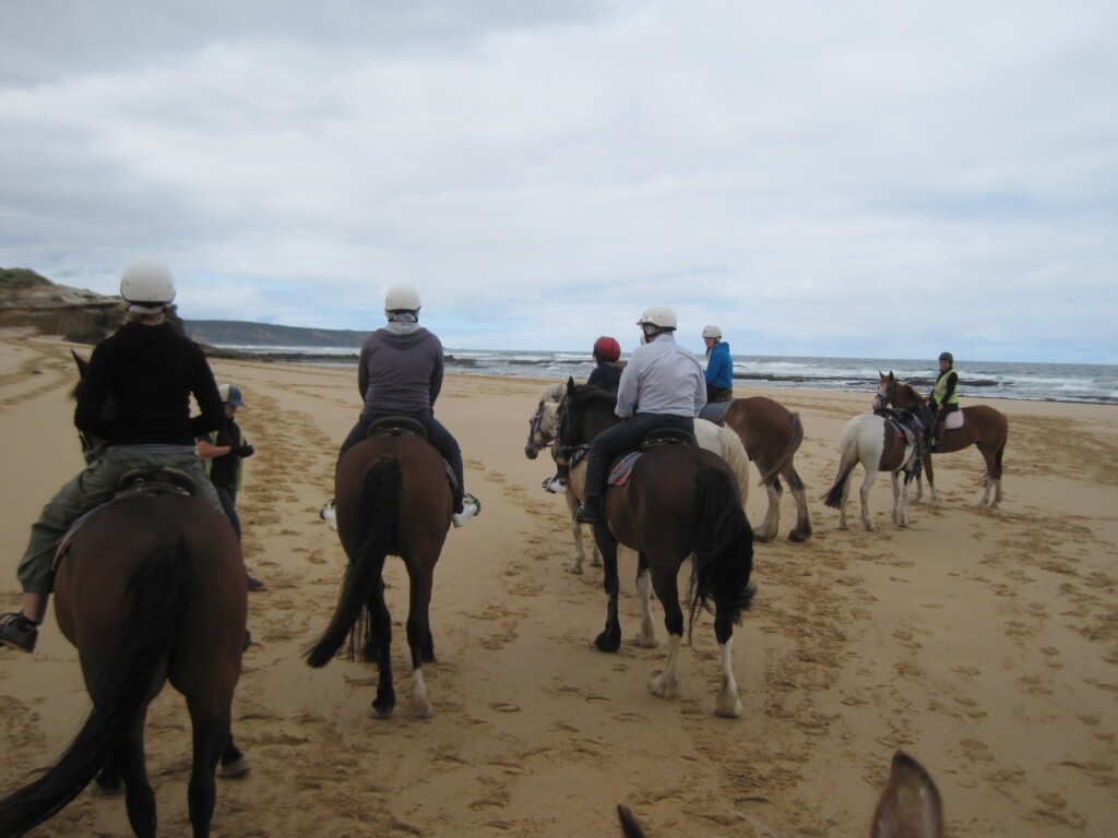 Reiten Mornington Peninsula Gunnamatta Beach