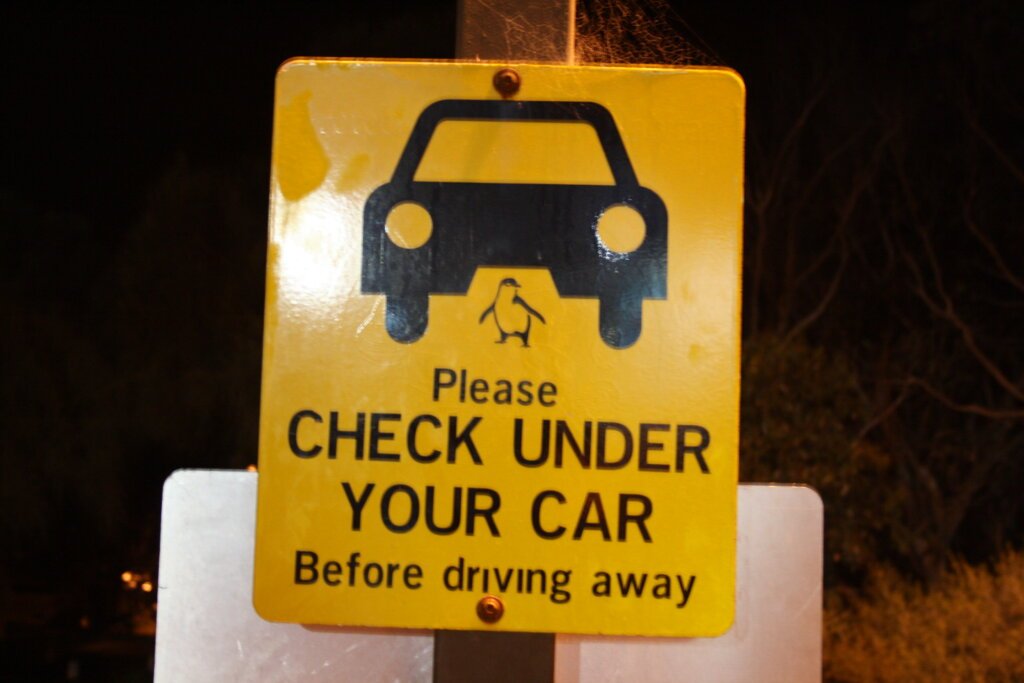 Pinguine Parade Philipp Island