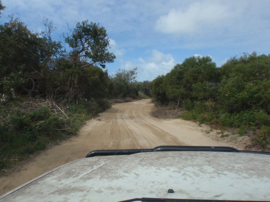 Fraser Island Weg für Allradfahrzeuge