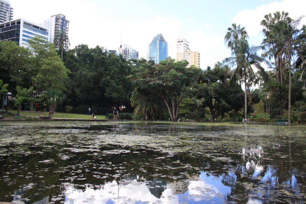 Botanical_Garden_Brisbane Botansicher Garten, botanical garde, Brisbane
