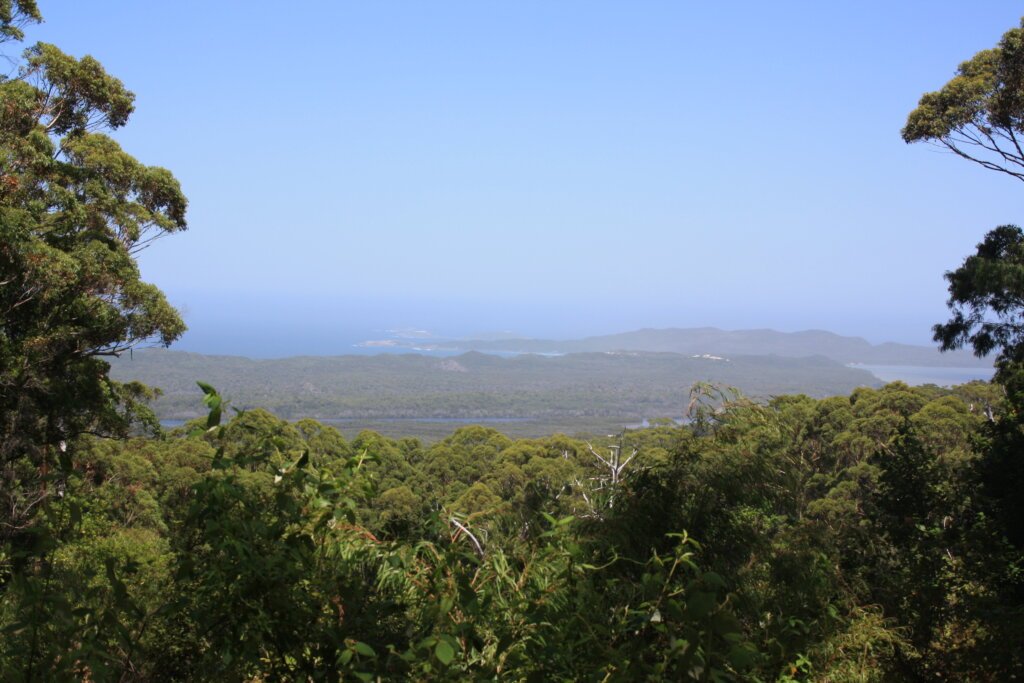 Tree_Top_Walk_Westaustralia Ausblick vom Tree Top Walk in Westaustralia